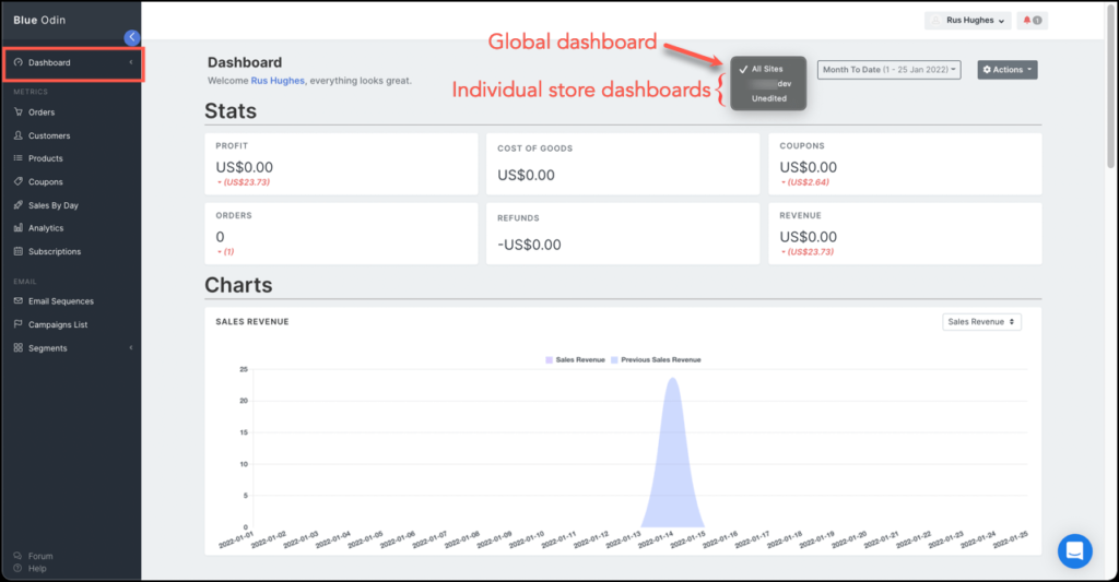 Blue Odin dashboard with ecommerce metrics